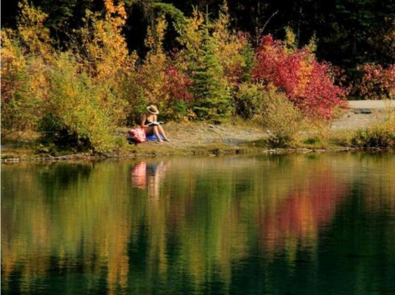 Banff Boundary Mountain View 2brms 3xac Townhouse *