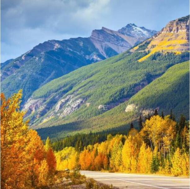 Banff Boundary Mountain View 2brms 3xac Townhouse *